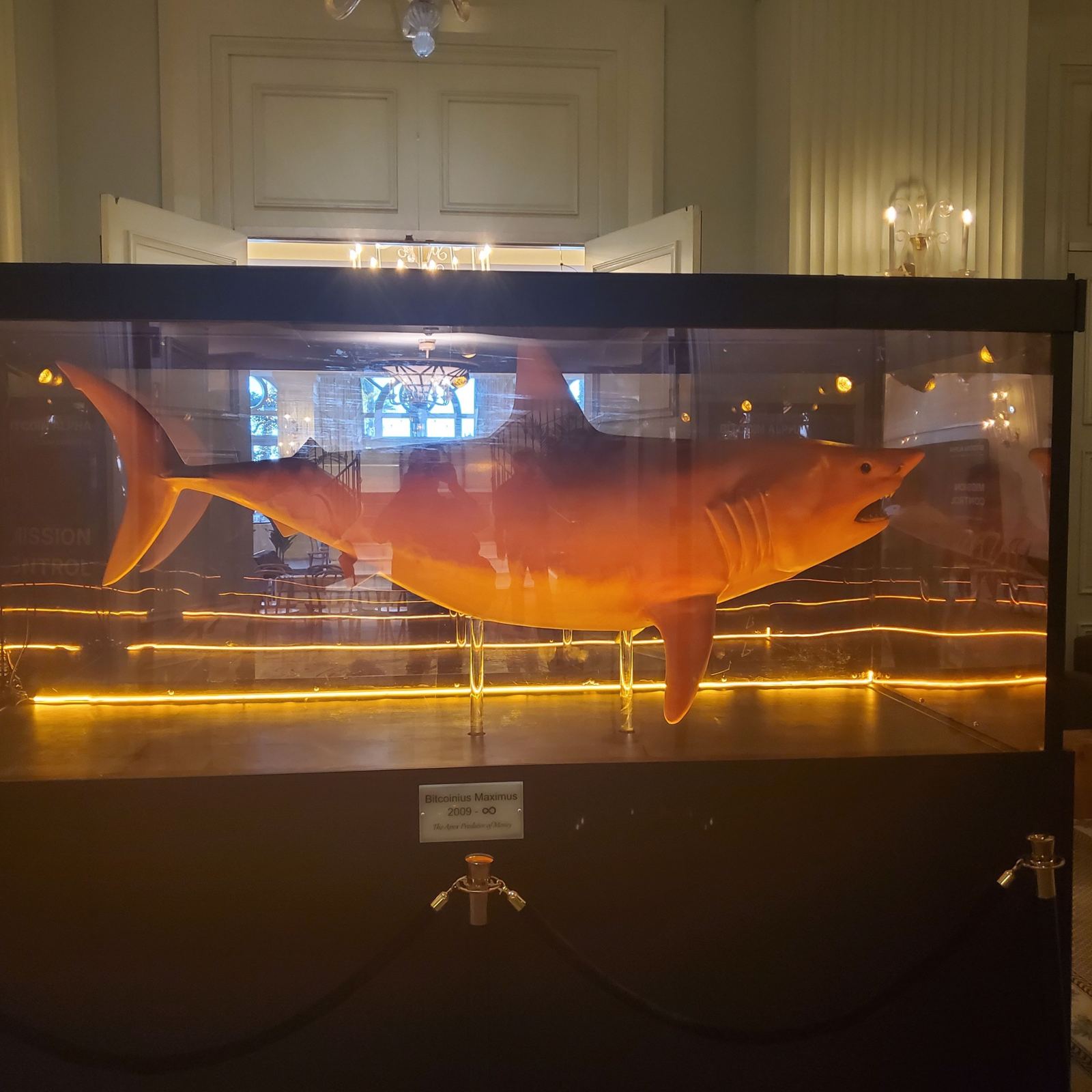 The Bitcoin Alpha shark lit up at Casa del Mar